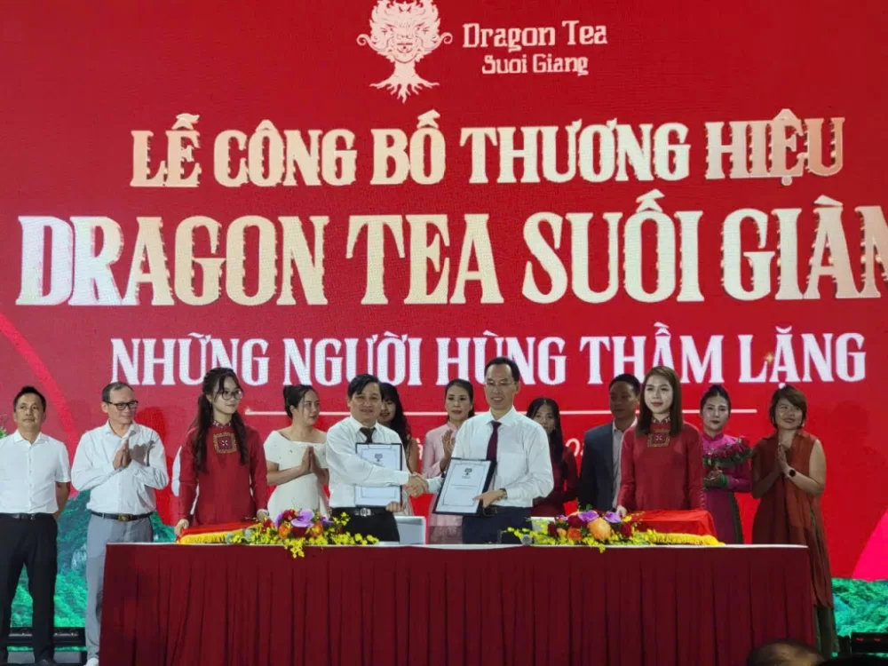 Dragon Tea Suối Giàng: Từ di sản vùng cao đến thương hiệu trà quốc gia