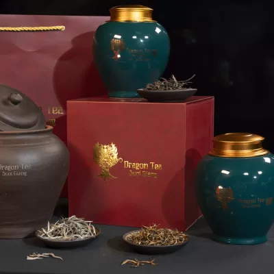 SET 2 – COMBO TRÀ SHAN TUYẾT CỔ THỤ SUỐI GIÀNG