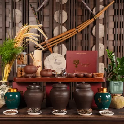 SET 3 – COMBO TRÀ SHAN TUYẾT CỔ THỤ SUỐI GIÀNG