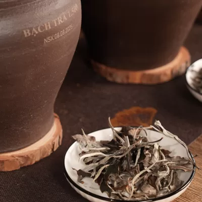 Bạch Trà Tổng Thống 1 tôm 1 lá