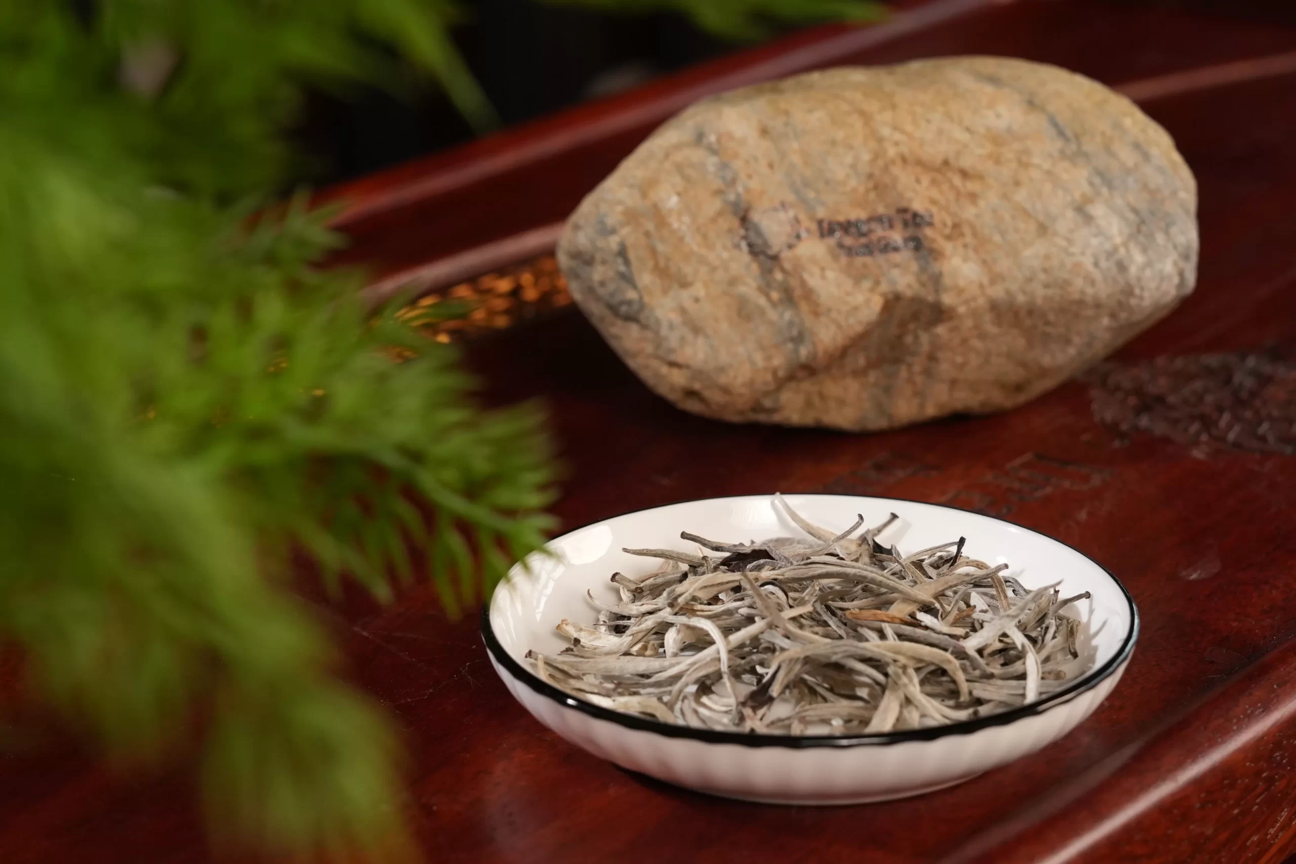 Bạch Trà Thượng Phẩm 1 tôm hũ 100gr 2025, 300 tuổi - Hũ - Ảnh 3