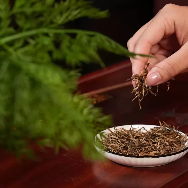 Alternative view of Hồng Trà Thượng Phẩm 1 tôm hũ 100gr 2025, 300 tuổi - Hũ