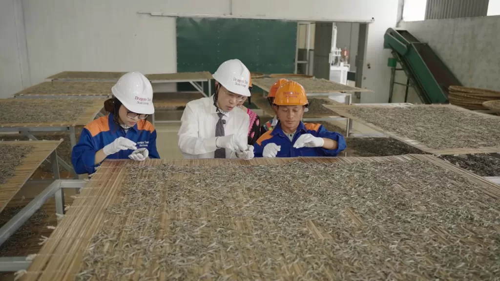 DRAGON TEA SUỐI GIÀNG – MỘT THƯƠNG HIỆU TIÊN PHONG TRONG HỆ SINH THÁI CỦA HYH GROUP