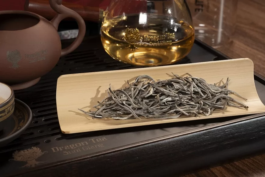 Trà Shan tuyết Suối Giàng – Từ tinh hoa núi rừng đến thương hiệu dược trà nâng tầm Việt Nam