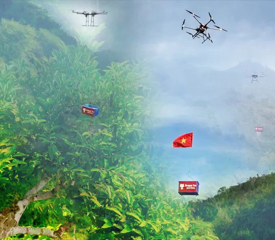 “Drone vận chuyển trà từ đồi Shan Tuyết xuống xưởng.”