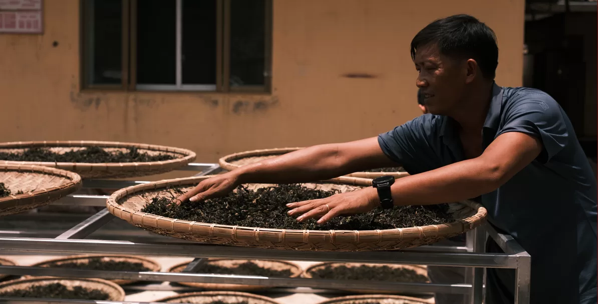 “Tận mắt xem sao trà thủ công dưới bàn tay nghệ nhân.”