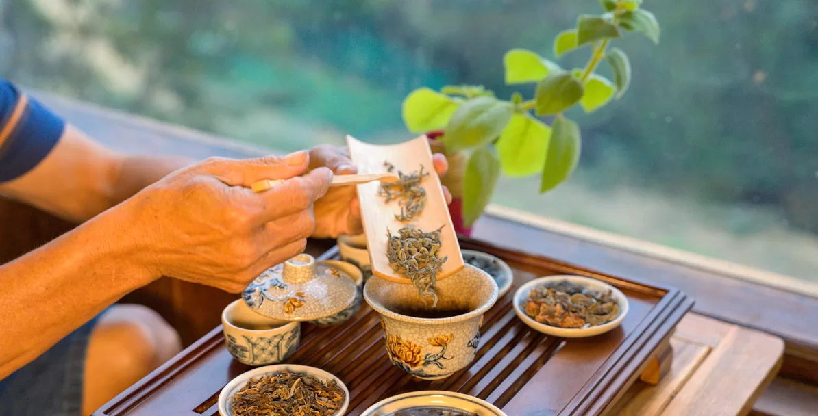 “Nếm thử Trà Shan Tuyết hàng trăm tuổi ngay giữa không gian đồi trà cổ thụ.”