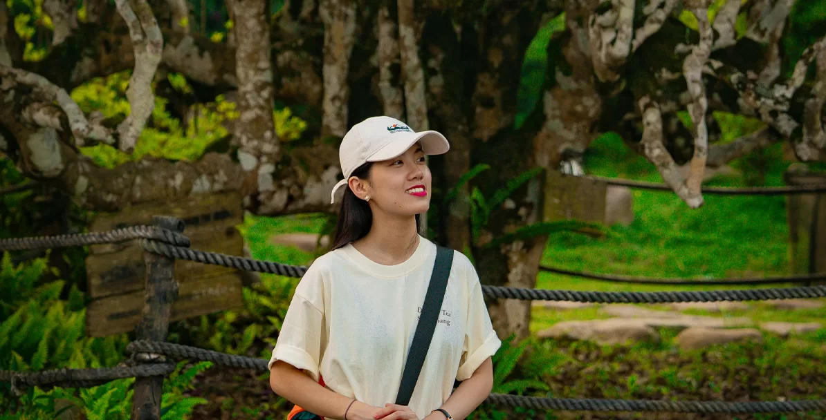 “Check-in cùng biển mây và những gốc chè rêu phong.”