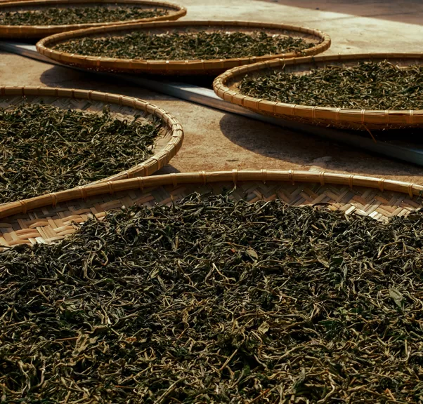 “Hương vị ẩm thực bản địa hòa cùng trải nghiệm trà.”