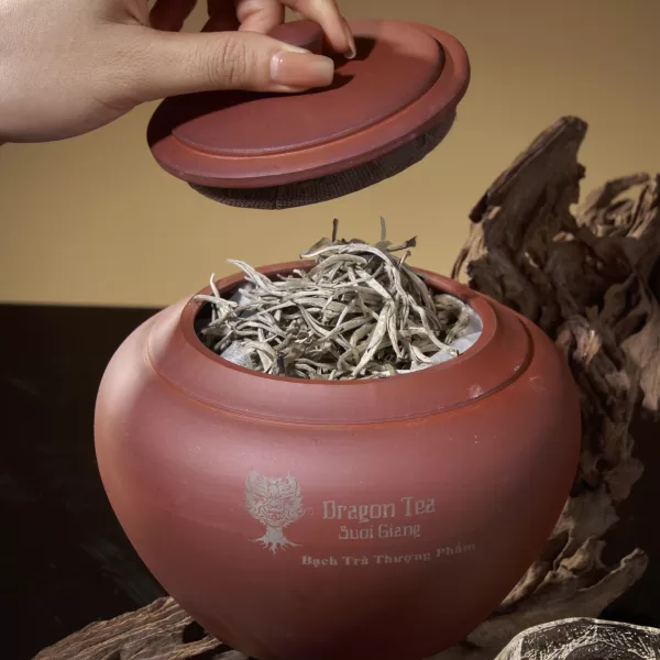 Alternative view of Bạch Trà Thượng Phẩm 1 tôm hũ 100gr 2025, 300 tuổi - Hũ