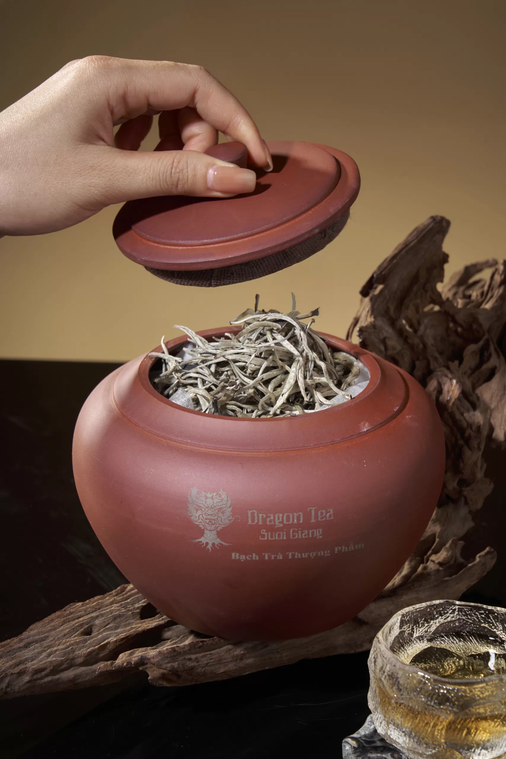 Bạch Trà Thượng Phẩm 1 tôm hũ 100gr 2025, 300 tuổi - Hũ - Ảnh 2