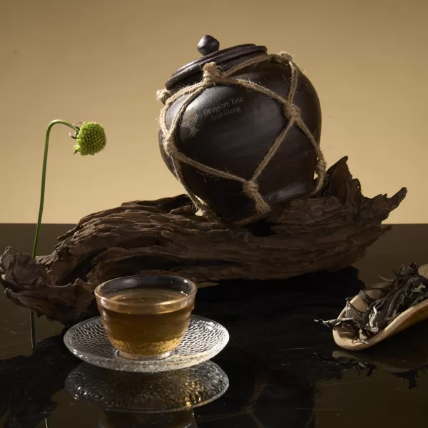 Bạch Trà Tổng Thống 1 tôm 1 lá 50g 2025, 300 tuổi - Hũ