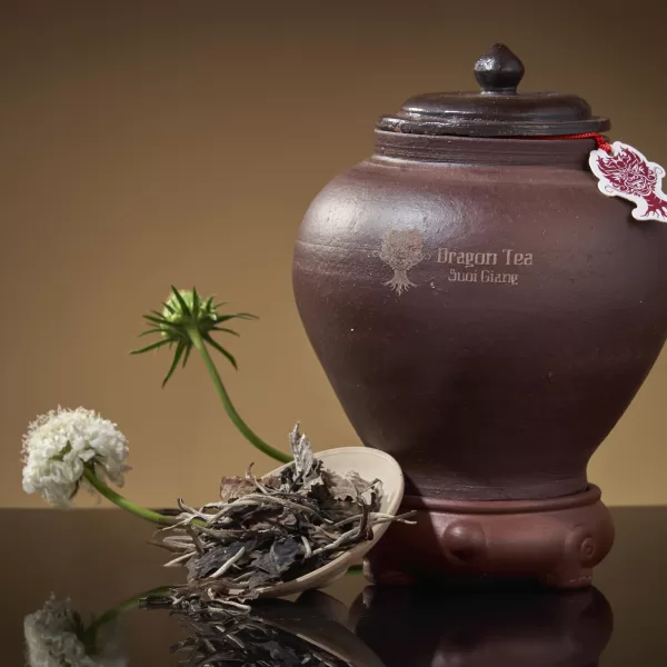 Alternative view of Bạch Trà Tổng Thống 1 tôm 1 lá hũ 30gr 2025, 300 tuổi - Hũ