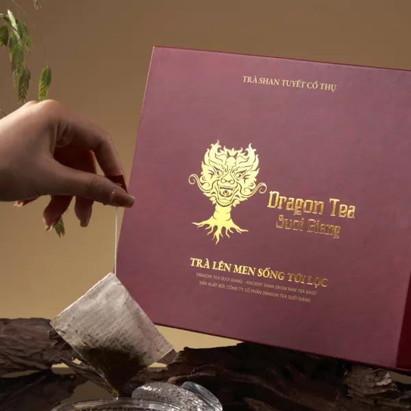 Hoàng Trà túi lọc hộp 30 gói x3.3gr, 300 tuổi - Hộp