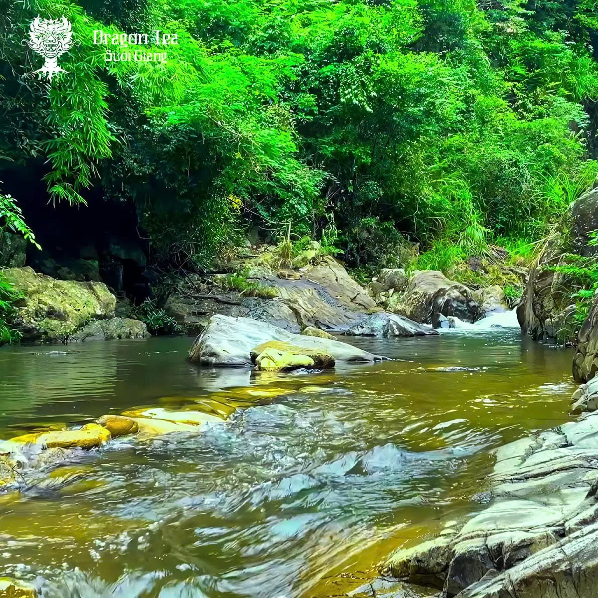 Khám phá suối nguồn tự nhiên